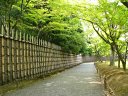 竹の穂垣