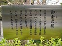 御会式桜
