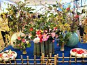 京都府立植物園　ツバキ展