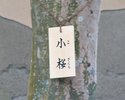 名札