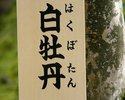 白牡丹