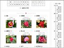 「花色」を h5  IE6