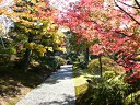 紅葉の馬場