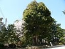 平岡八幡宮