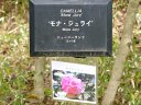 松花堂庭園