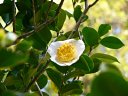 京都府立植物園