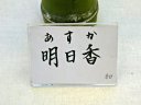 明日香