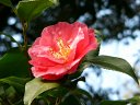 京都府立植物園