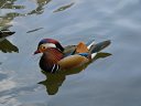 神戸花鳥園