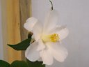 京都松花堂