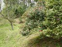 大阪市大植物園