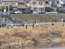 和みの庭