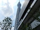 和みの庭