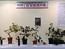 和みの庭