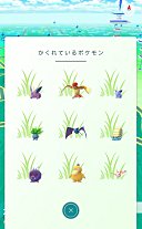 和みの庭