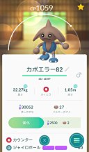 和みの庭