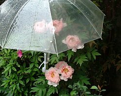 �{�^���@�s���N