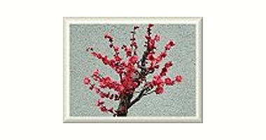 紅梅