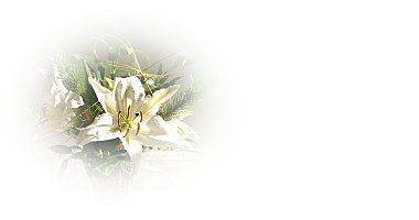 カサブランカ