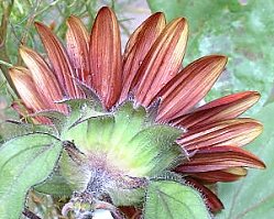 �q�}�����@�R�R�A